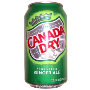 Ginger Ale (soda)